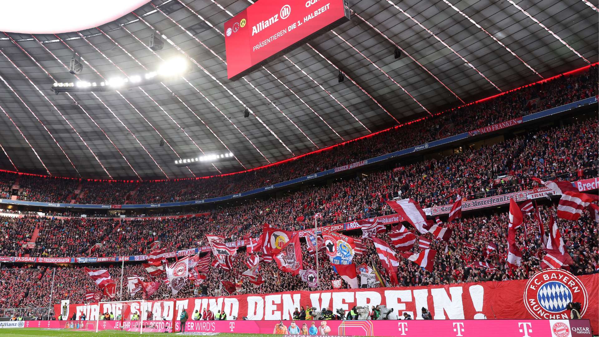 仅让球迷们 仅让球迷们