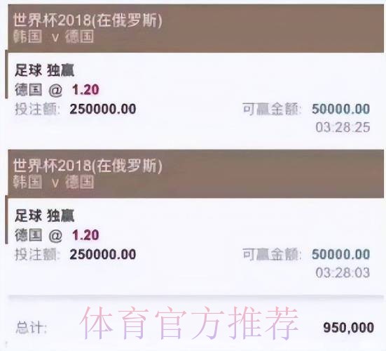 世界杯外围买球全攻略：在线投注平台使用要点